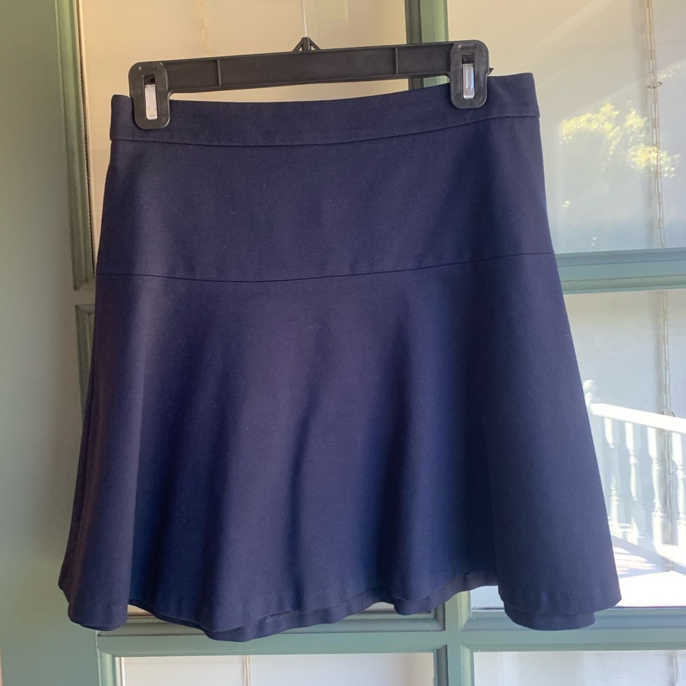 Banana Republic Navy Skirt